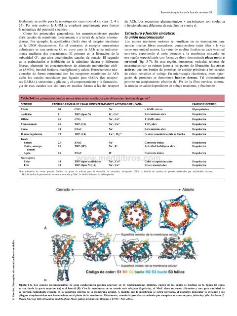 Principios de Neurociencia Haines 4a Ed_booksmedicos.org