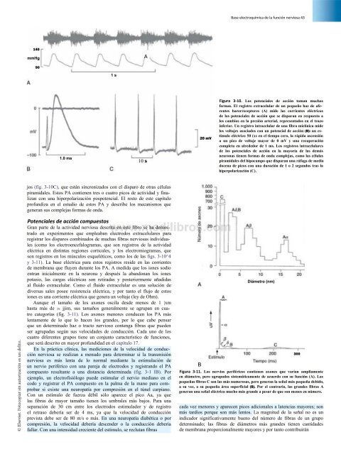 Principios de Neurociencia Haines 4a Ed_booksmedicos.org