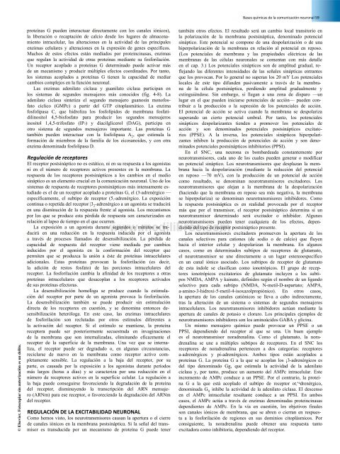 Principios de Neurociencia Haines 4a Ed_booksmedicos.org