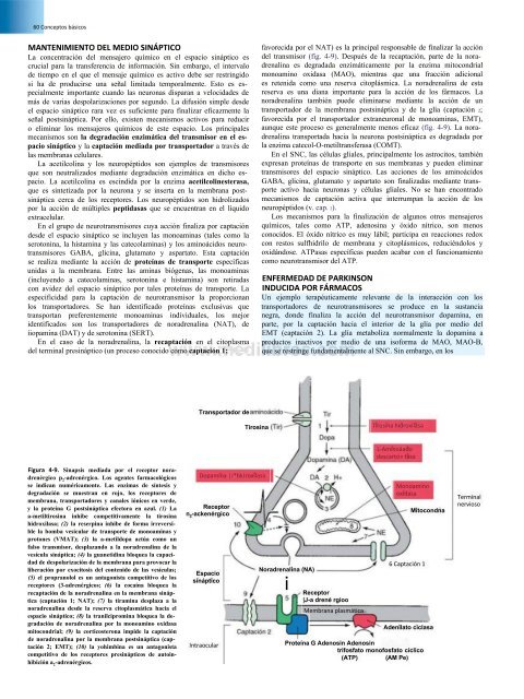 Principios de Neurociencia Haines 4a Ed_booksmedicos.org