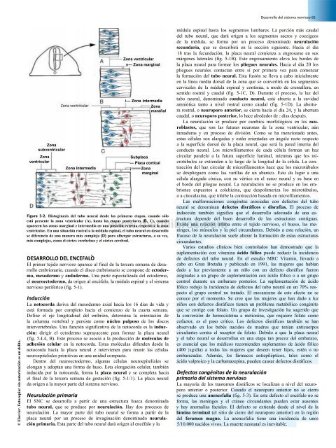 Principios de Neurociencia Haines 4a Ed_booksmedicos.org