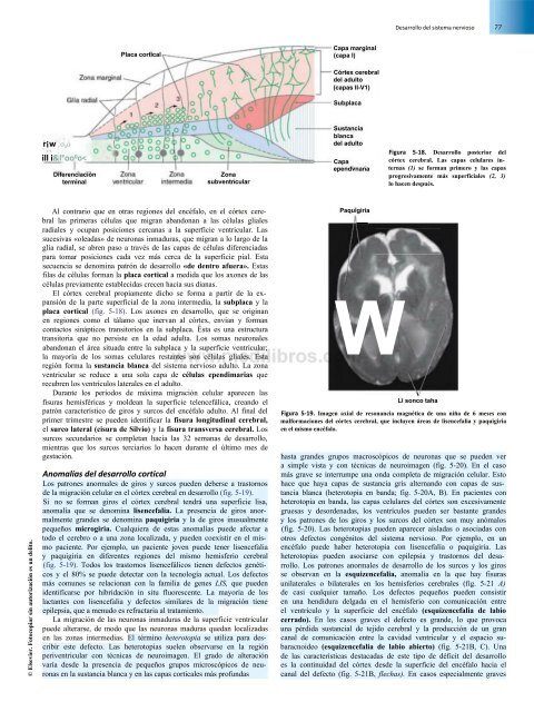 Principios de Neurociencia Haines 4a Ed_booksmedicos.org