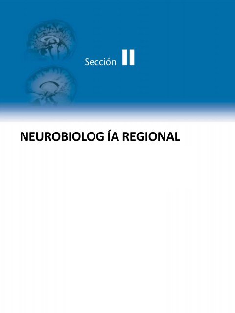 Principios de Neurociencia Haines 4a Ed_booksmedicos.org