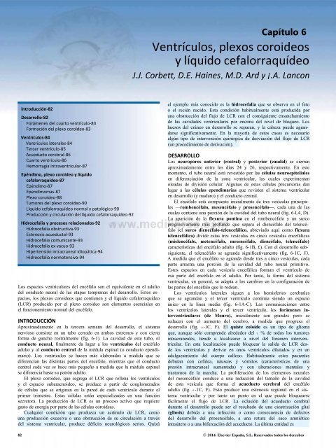 Principios de Neurociencia Haines 4a Ed_booksmedicos.org