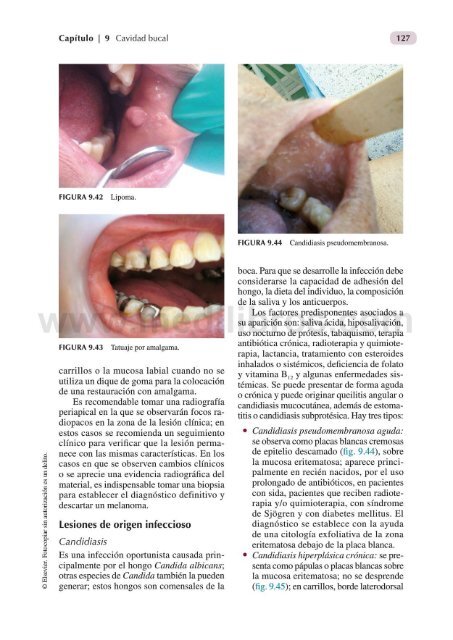 Propedeutica y Semiologia en Odontologia