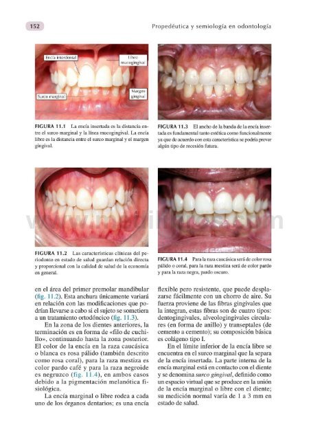 Propedeutica y Semiologia en Odontologia