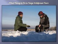 3 Best Things to Do in Taiga Wilderness Tours