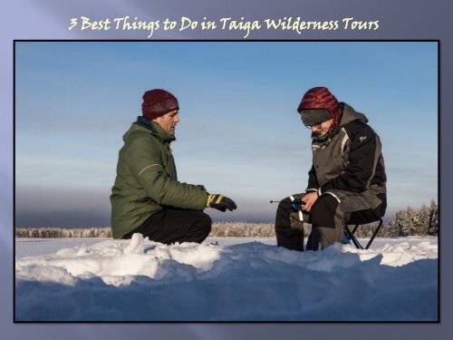 3 Best Things to Do in Taiga Wilderness Tours