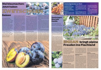 Zwetschgen und Enzian