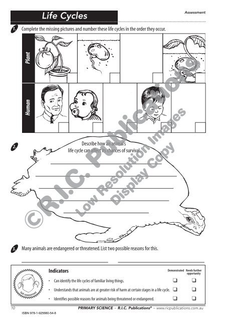 RIC-3531 Primary Science - Book D (Digital)