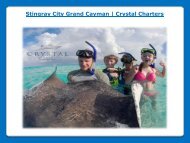 Stingray City Grand Cayman