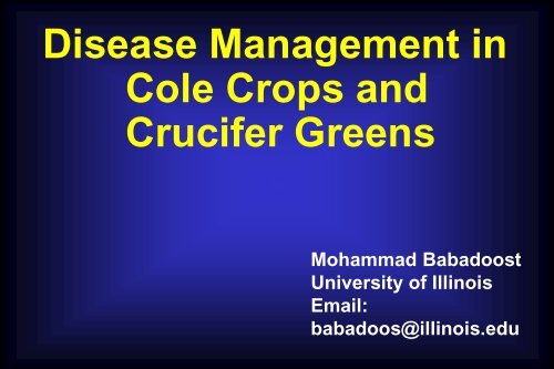 Disease Management in Cole Crops and Crucifer Greens