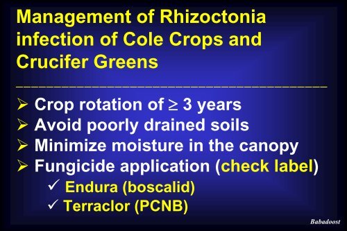 Disease Management in Cole Crops and Crucifer Greens