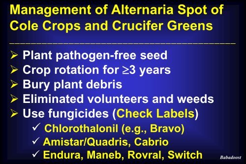 Disease Management in Cole Crops and Crucifer Greens