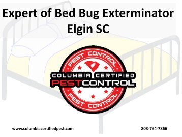 Expert of Bed Bug Exterminator Elgin SC