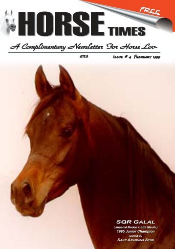 A Complimentary Newsletter F A Complimentary ... - Horse Times