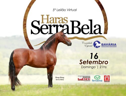 Catalogo Leilao Serra Bela 2018