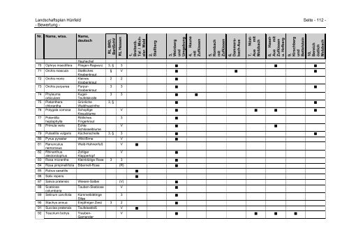 4 Erfassung und Bewertung der aktuellen und künftigen ... - Hünfeld