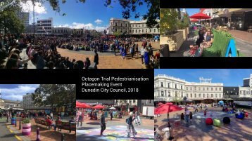 2018-07 New Zealand Project Renderings and Photos