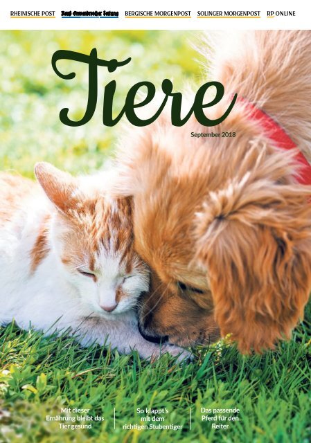 Blätterkatalog Tiere Magazin 04.09.18