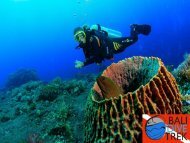 Technical Scuba Diving Course-converted