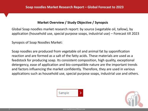 Soap Noodles Market PDF