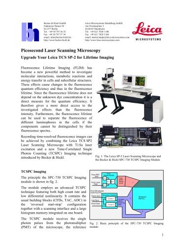 Picosecond Laser Scanning Microscopy - Becker & Hickl GmbH