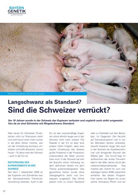 Schweine-Welt-2018-Juli-web