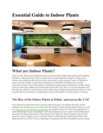 Essential Guide to Indoor Plants | Dubai - Abu Dhabi | Planters