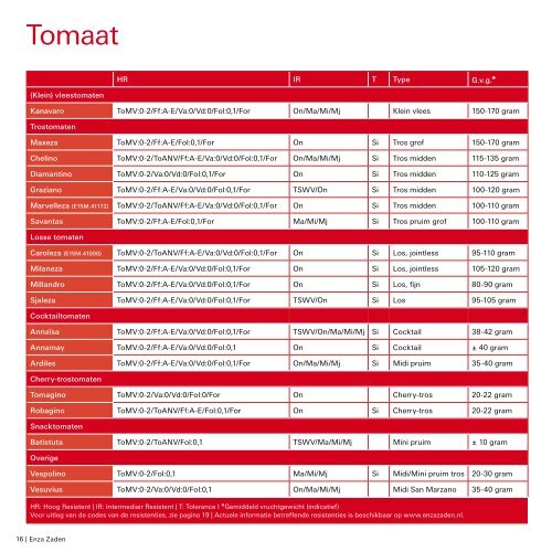 Tomaat 2018 | 2019