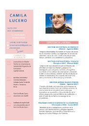 Camila Lucero _ Curriculum Vitae