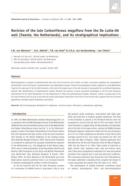 Revision of the late Carboniferous megaflora from the De Lutte-06 ...