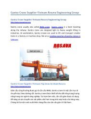 Gantry Crane Supplier Vietnam Rosava Engineering Group