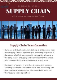 Expertise in Supply Chain Management | Sirius Solutions