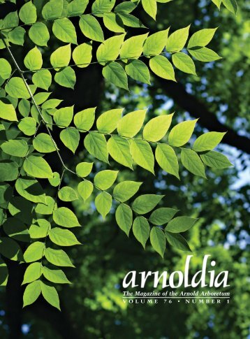 Arnoldia Article full with cover Sept 2018
