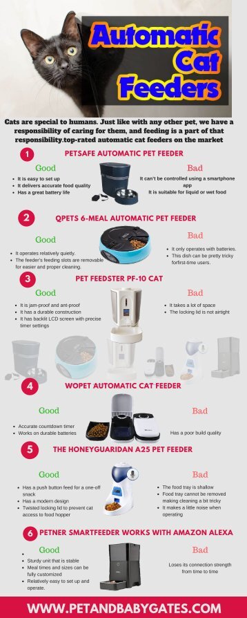 Best Automatic Cat Feeder Reviews | Pet and Baby Gates