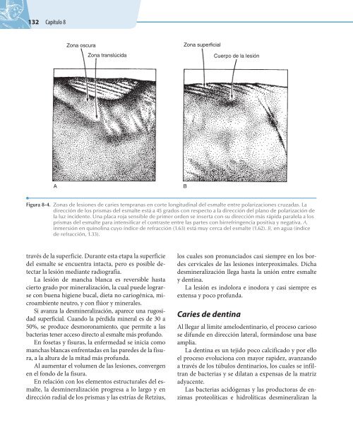 Odontologia.Preventiva