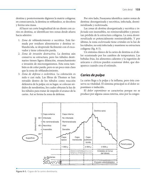 Odontologia.Preventiva