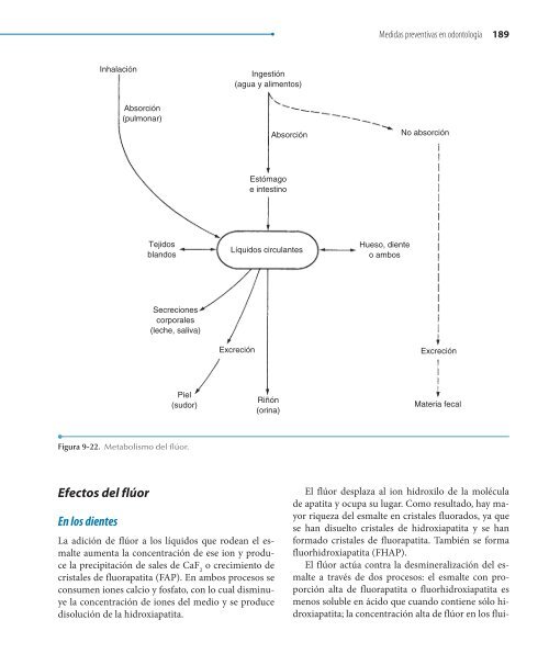 Odontologia.Preventiva