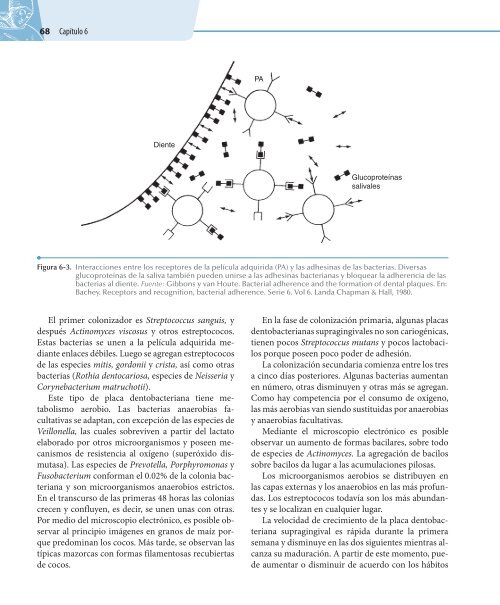 Odontologia.Preventiva