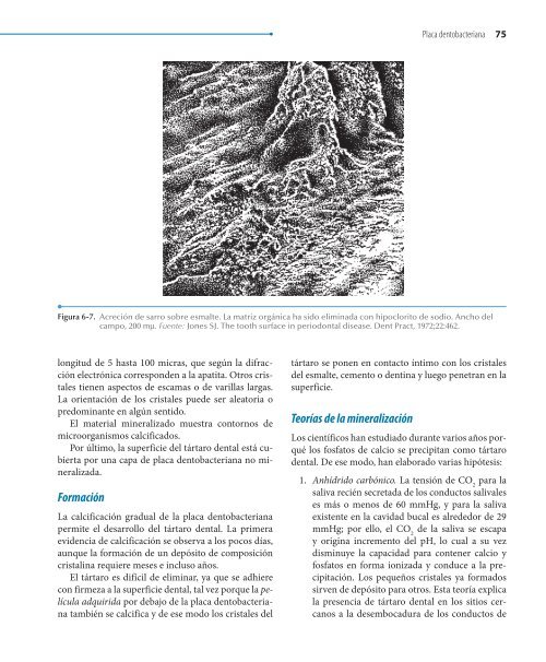 Odontologia.Preventiva