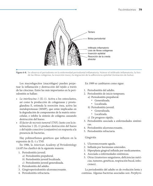 Odontologia.Preventiva