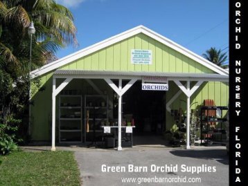 Orchid Nursery Florida