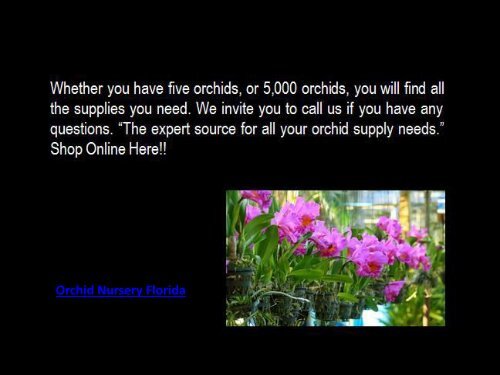 Orchid Nursery Florida