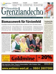 Biomassewerk für Fürstenfeld - Werbeagentur Wilder Mohn