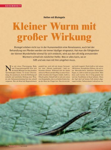 Kleiner Wurm mit großer Wirkung - Reiter Revue International