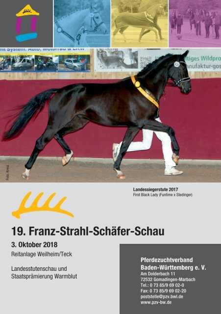 Landesstutenschau 3. Oktober 2018 - 19. Franz-Strahl-Schäfer-Schau