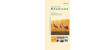 Kranichflyer 2018
