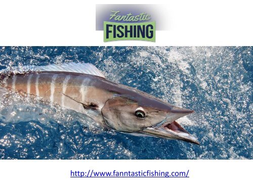 Fort Lauderdale Fishing Charters