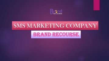 Brand Recourse, Bulks Sms Marketing Company in Noida